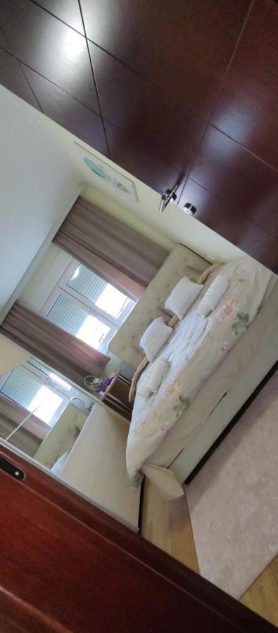 Apartman Mali Raj Vrnjačka Banja Екстериор снимка