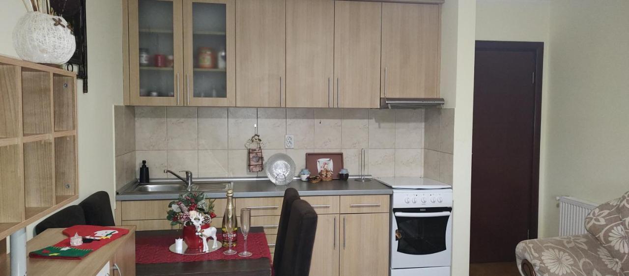 Apartman Mali Raj Vrnjačka Banja Екстериор снимка